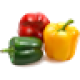 Vegetarian & Raw